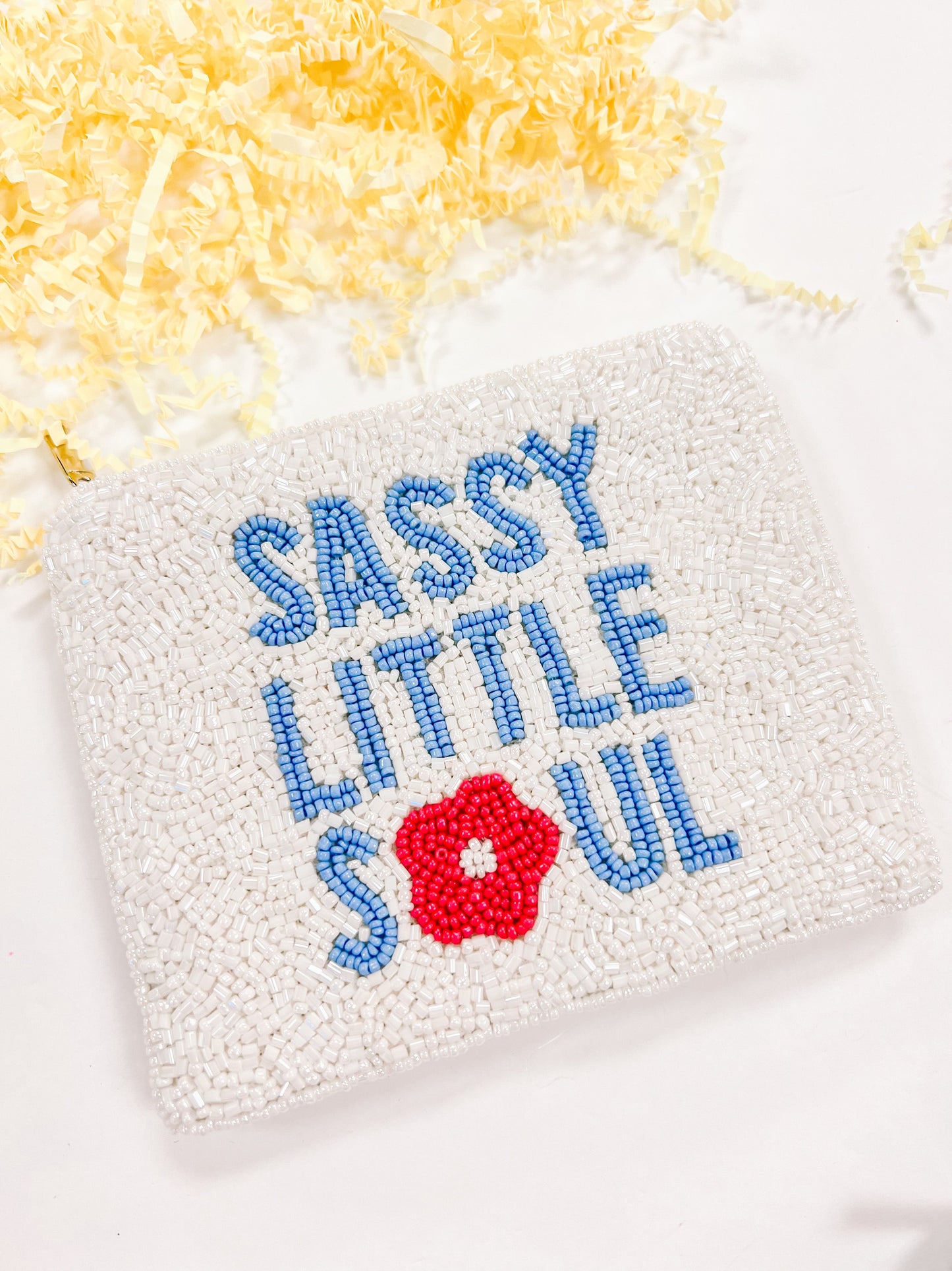 Sassy Little Soul Beaded Coin Pouch